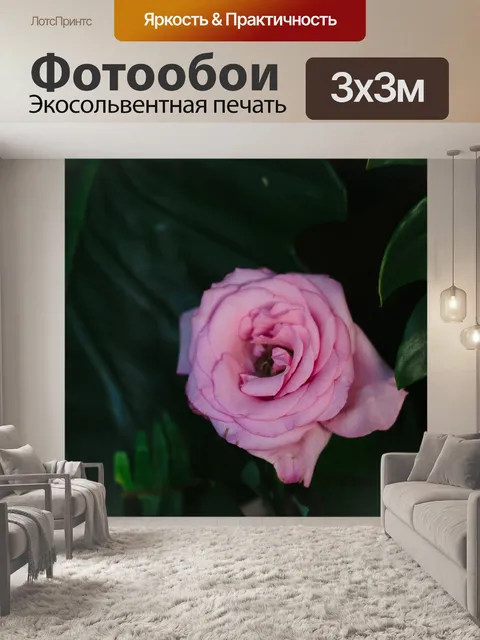 Фотообои Темный
