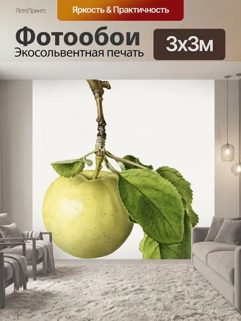 Фотообои Яблочный фрукт винтажное искусство