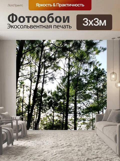 Фотообои Природа соснового леса в Фу Руа