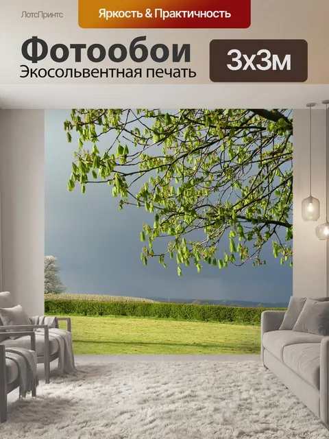 Фотообои Буря