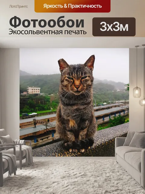 Фотообои Кошка