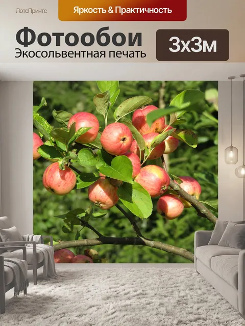 Фотообои Яблоневый сад