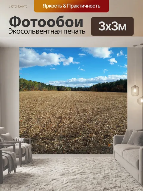 Фотообои Кукурузные поля после сбора урожая