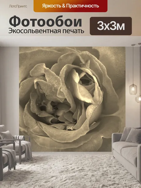 Фотообои Роза