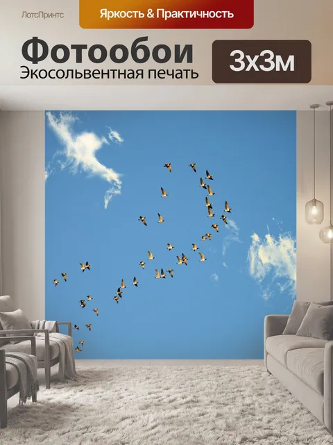 Фотообои Дикие гуси