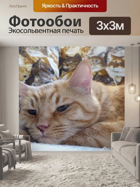 Фотообои Желтый кот дремлет кошка подушек