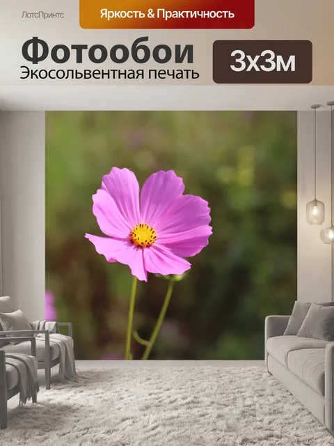 Фотообои Космос