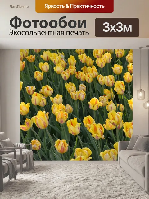 Фотообои Желтые тюльпаны
