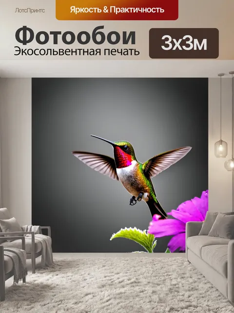 Фотообои животные в стиле нуар, колибри, зависший в воздухе у цветка, его яркие перья противостоят мрачному фону