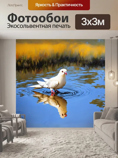 Фотообои корелла рассматривает отражение в воде
