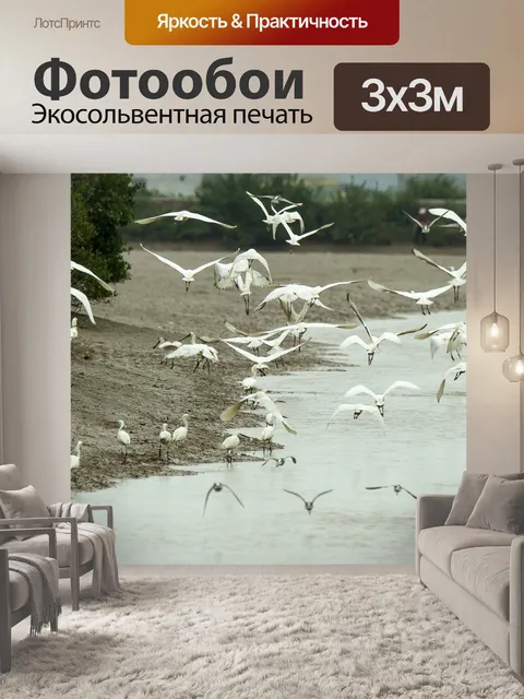 Фотообои Аист