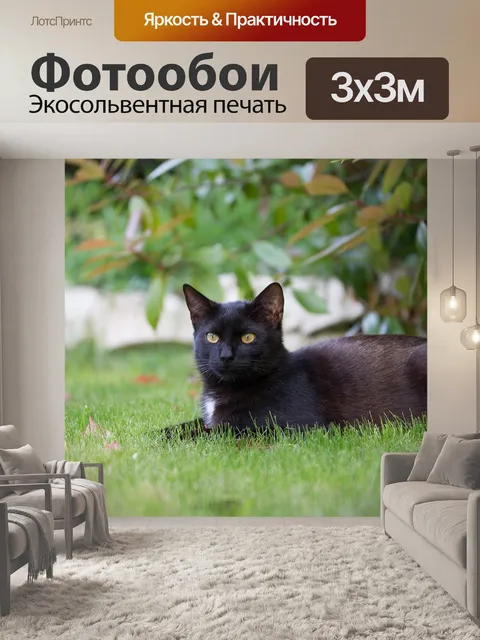 Фотообои Черный