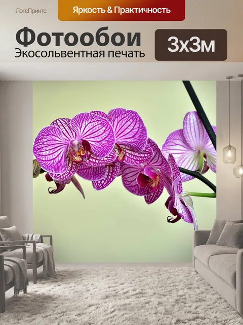 Фотообои Орхидея
