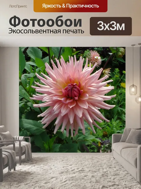 Фотообои Красивый розовый цветок