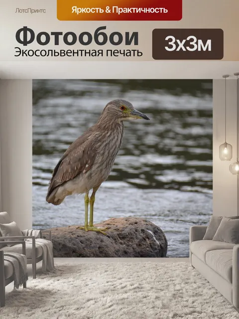 Фотообои Птичка