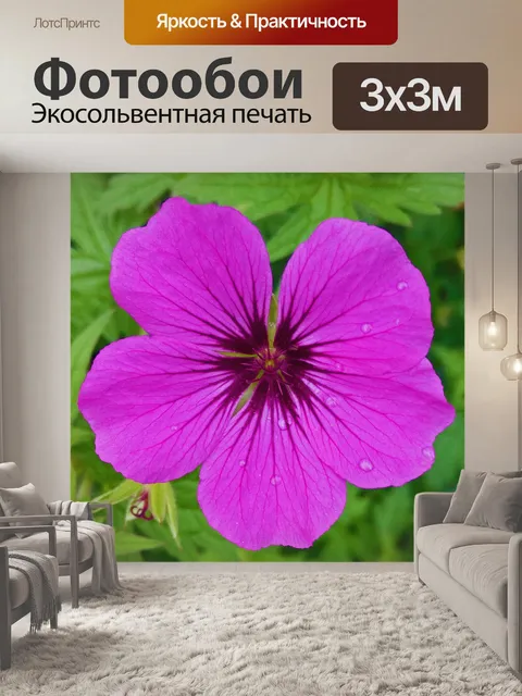 Фотообои Цветы