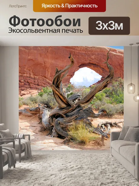 Фотообои Корявый можжевельник на арки