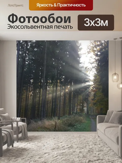 Фотообои Лес