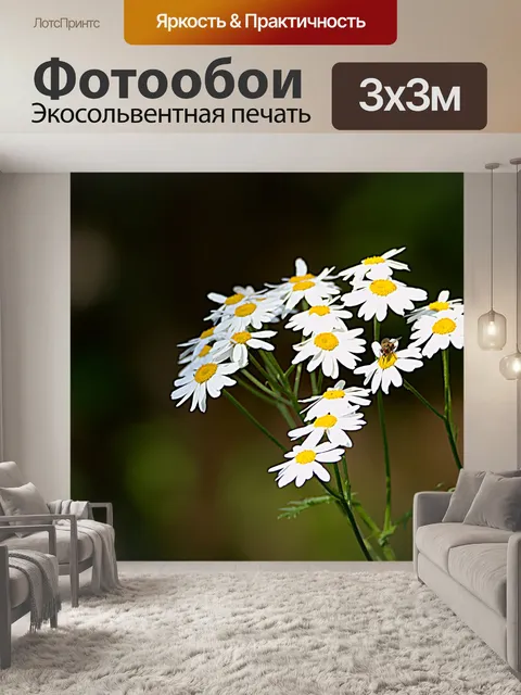 Фотообои Ромашка