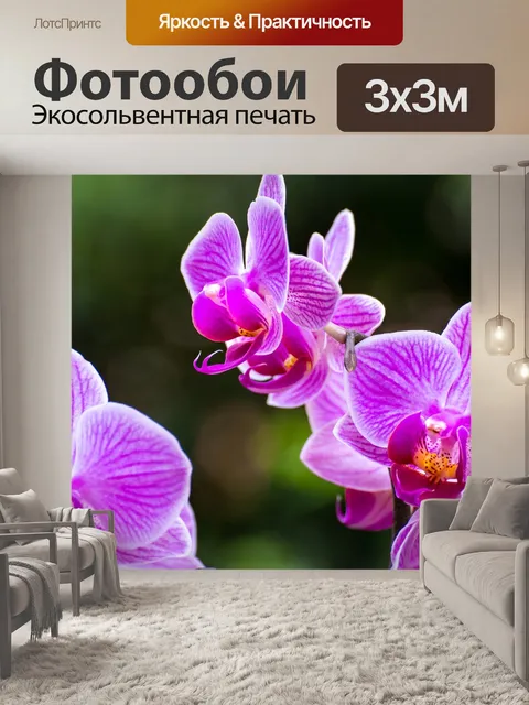 Фотообои Цветы