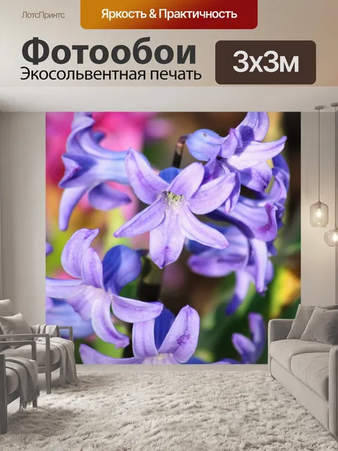 Фотообои Фиолетовый Гиацинт Крупный план