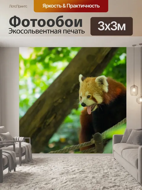 Фотообои Панда