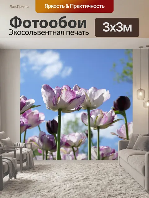 Фотообои Тюльпаны