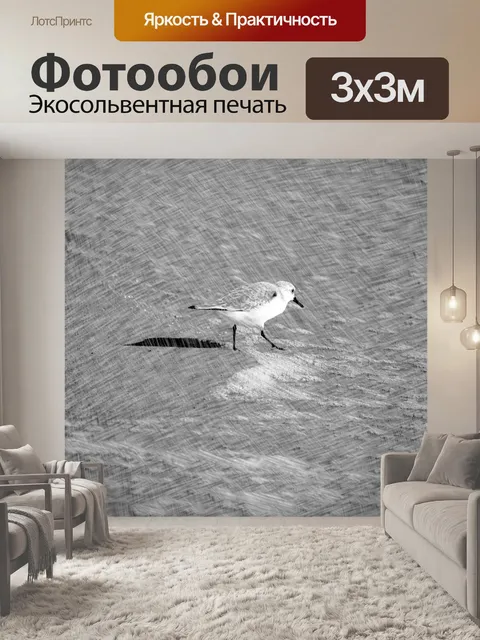 Фотообои Эскиз птиц
