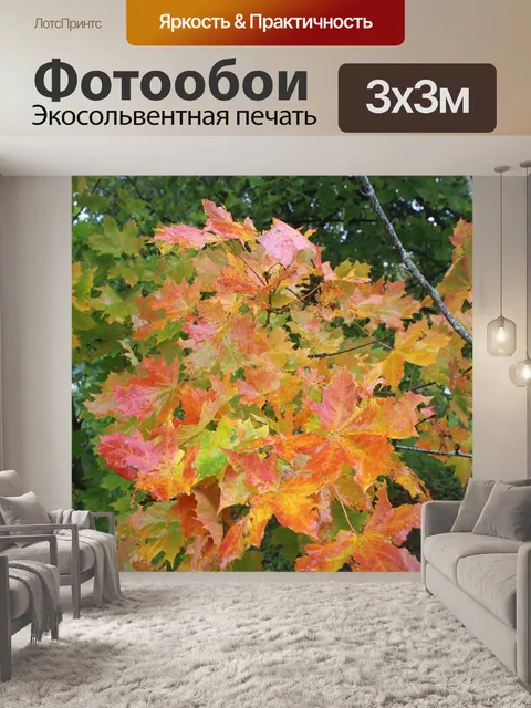 Фотообои Листья