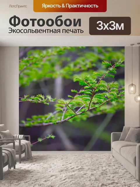 Фотообои Ветвь дерева