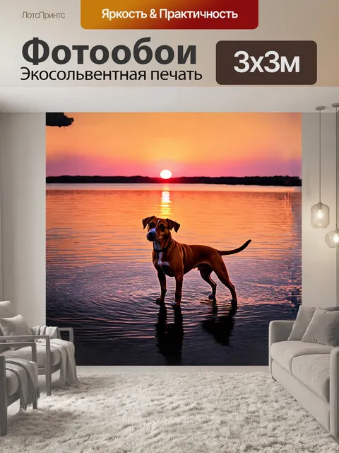 Фотообои вечерний закат окутал джек-рассел терьера своими яркими оранжевыми и фиолетовыми оттенками