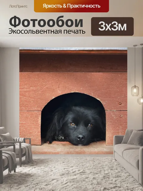 Фотообои Животное