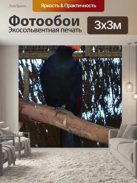 Фотообои Экзотические птицы