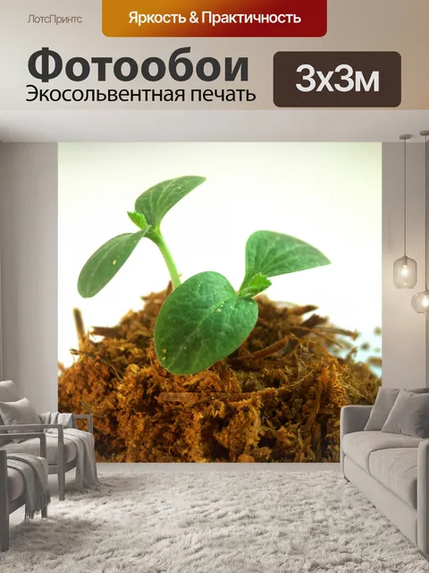 Фотообои Молодое дерево