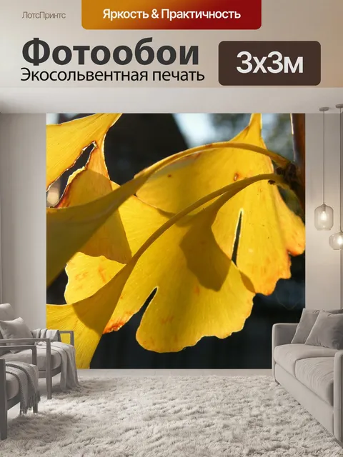 Фотообои Гинкго