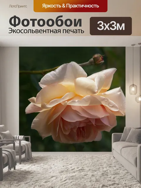 Фотообои Розы