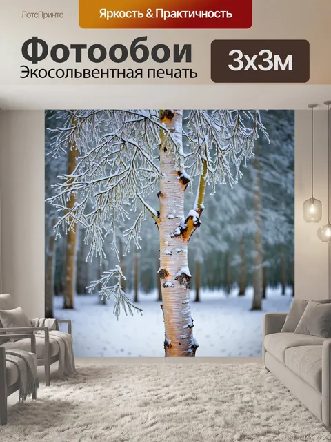 Фотообои красивая береза, укрытая снегом и морозным инеем в зимней лесной атмосфере