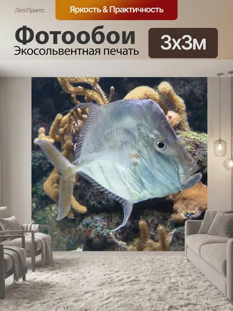 Фотообои Рыба