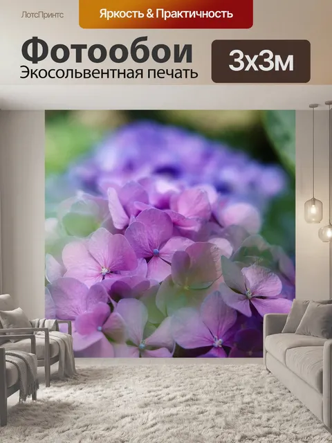 Фотообои Гортензии