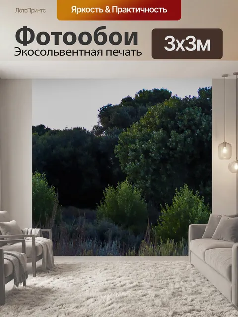 Фотообои Стенд деревьев