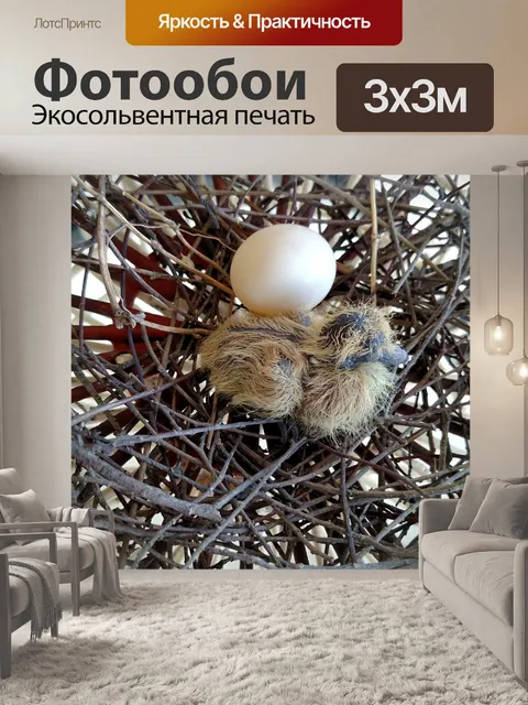 Фотообои Цыпленок