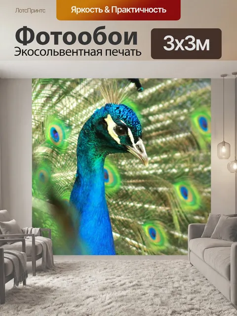 Фотообои Павлин