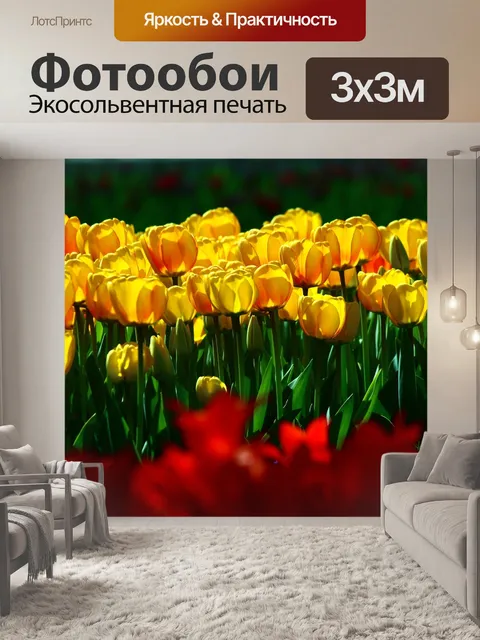 Фотообои Общественный желтые тюльпаны