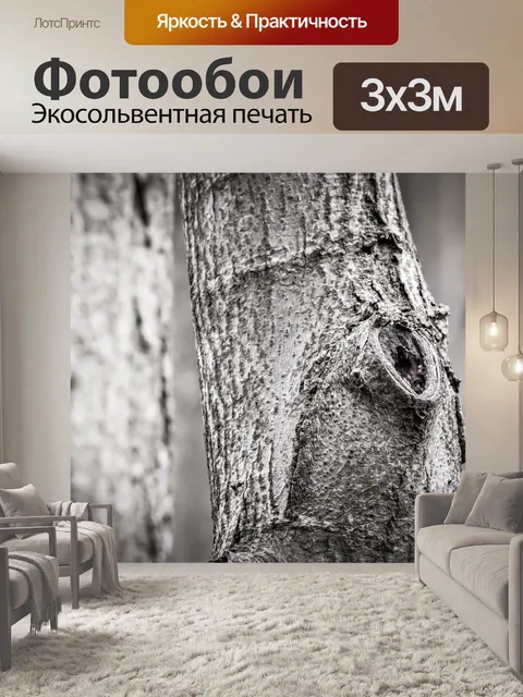 Фотообои Ствол дерева