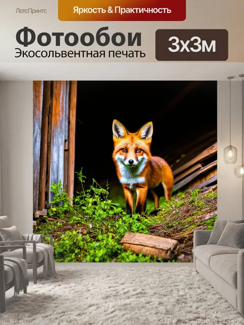 Фотообои лиса, исследующая старую заброшенную хижину