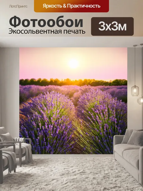 Фотообои рассвет над полем лавандовых цветов, наполняющим воздух свежестью и ароматом