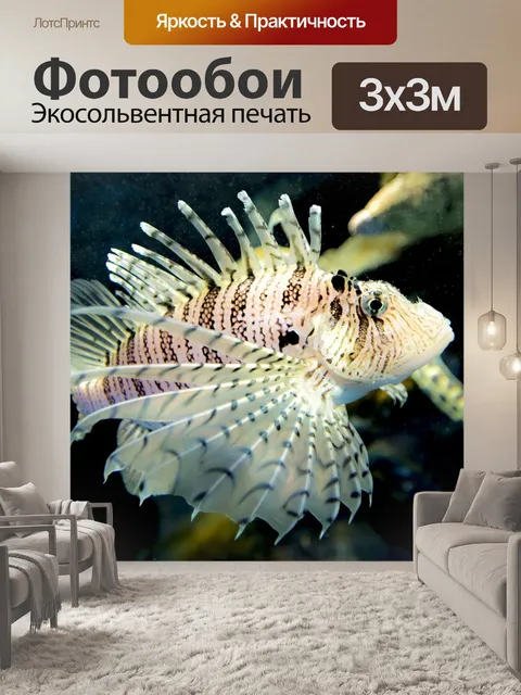 Фотообои Аквариум