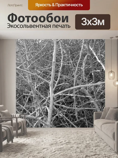Фотообои Перекати-поле Текстура 1