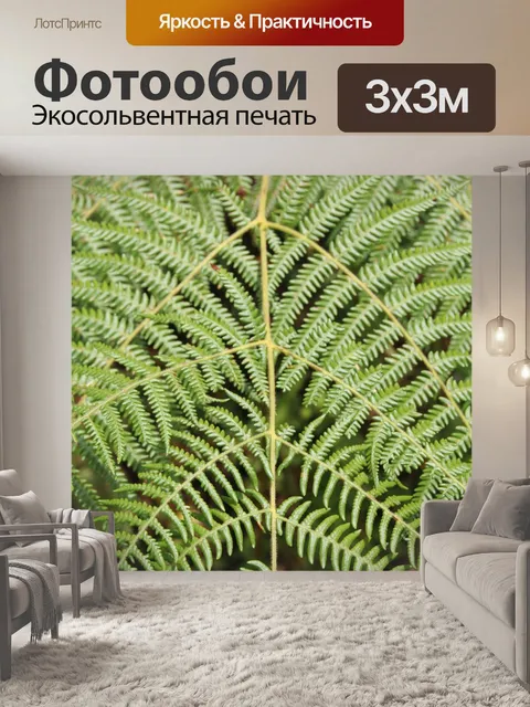 Фотообои Папоротник