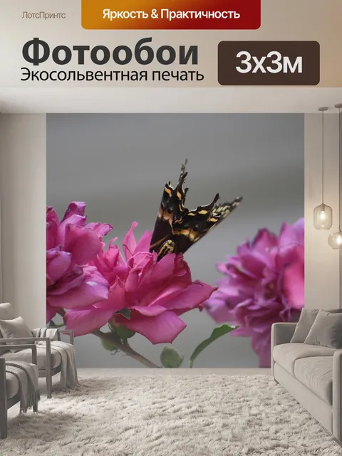 Фотообои Бабочка